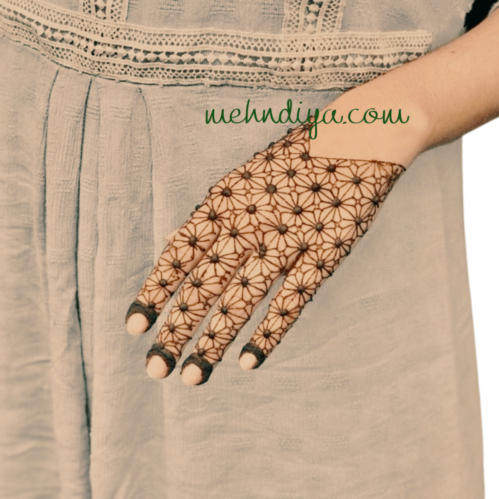 back hand net mehndi for party